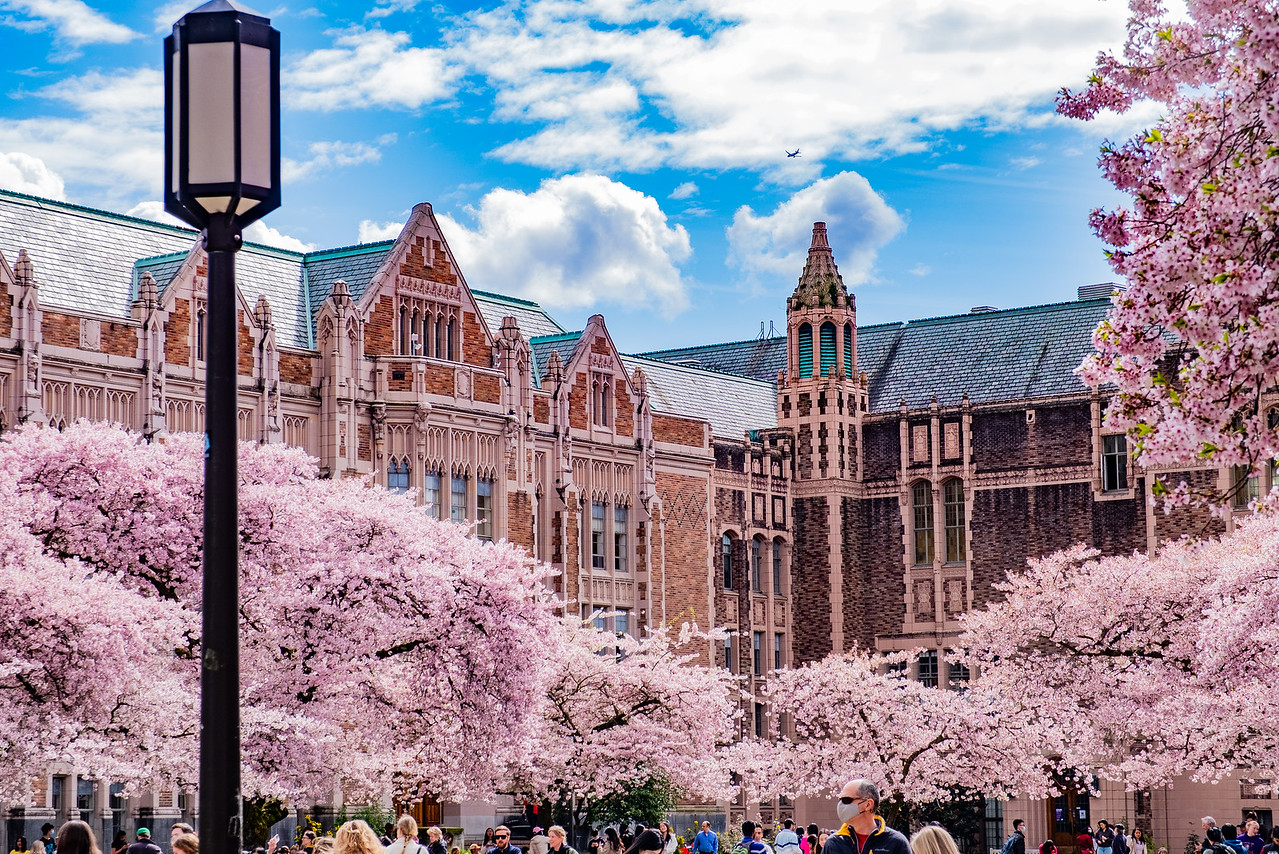dai-hoc-washington-10.jpg