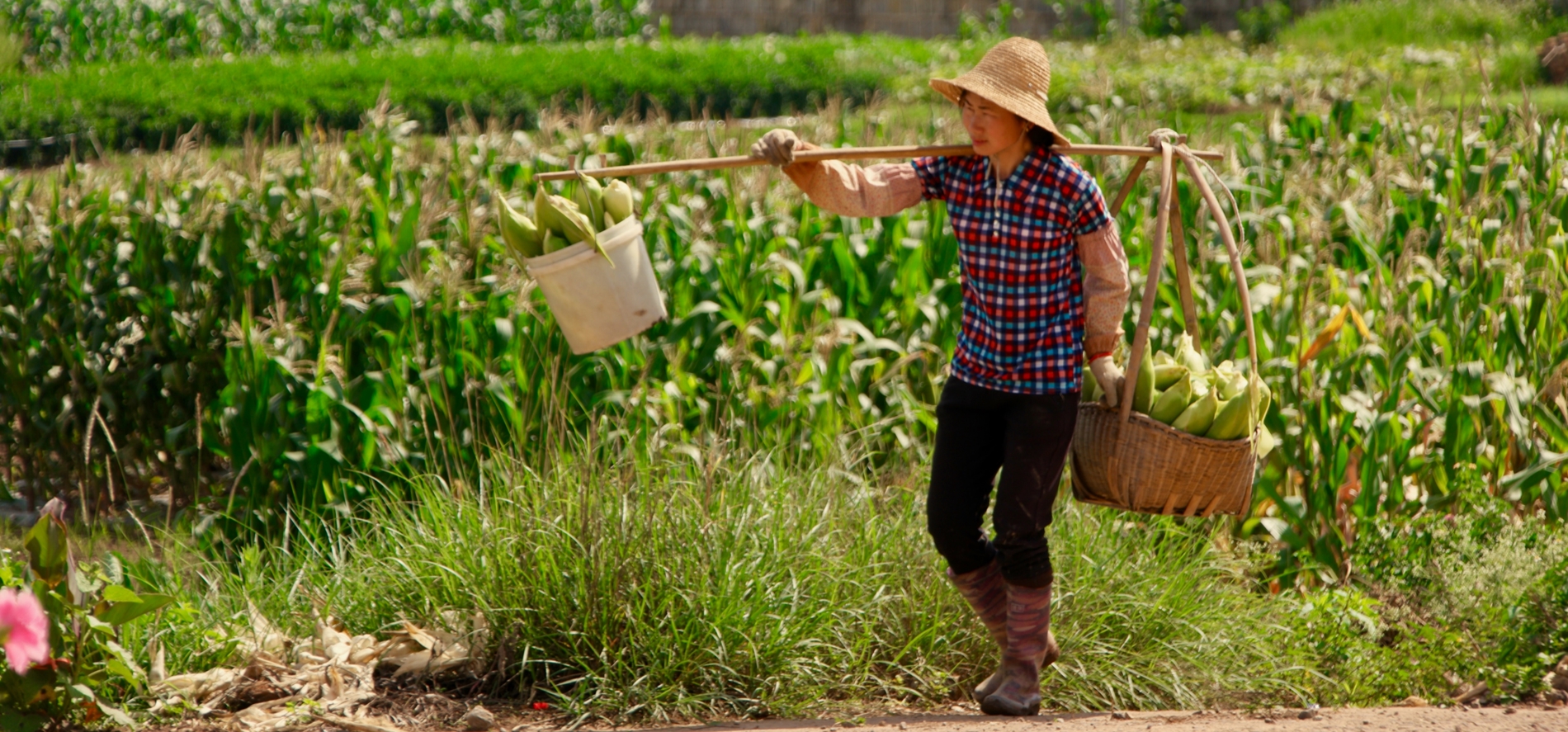 migrant-workers-new0.png